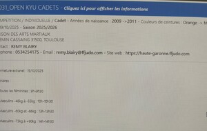 Open Ceinture de couleur Cadet