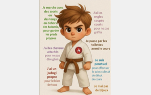 Competition Eveil judo de Muret