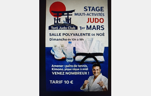 Stage Judo et multi activités
