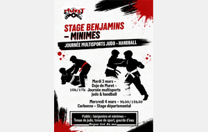 Stage Judo/Hand Ball