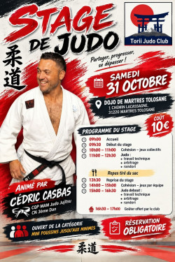 Stage de Judo de Martres