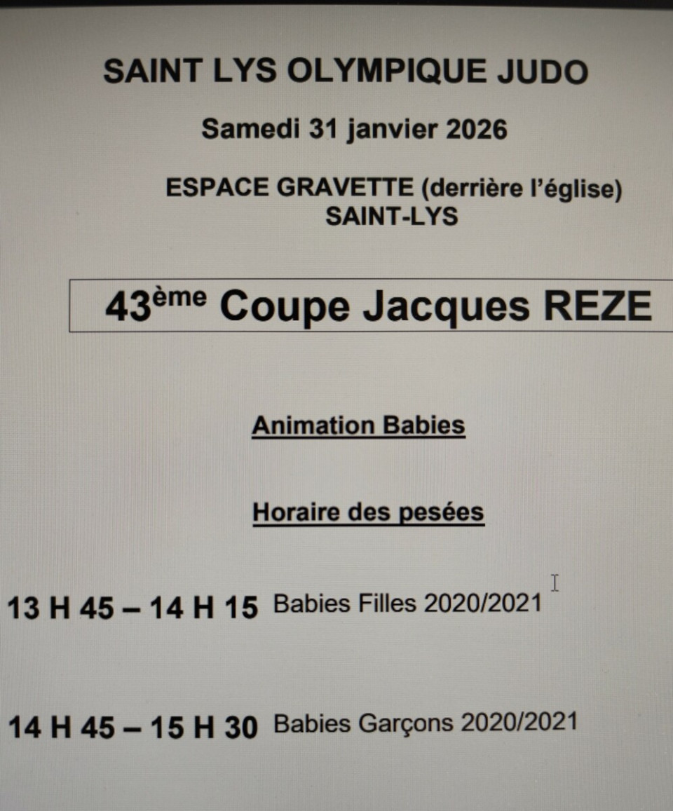 Animatiin Eveil Judo de Saint Lys